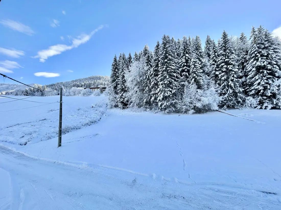 Chalet Varni