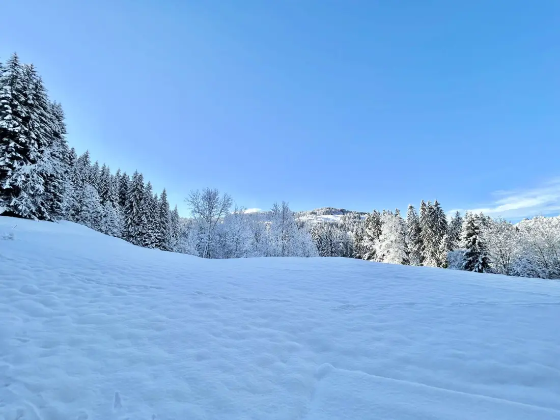 Chalet Varni