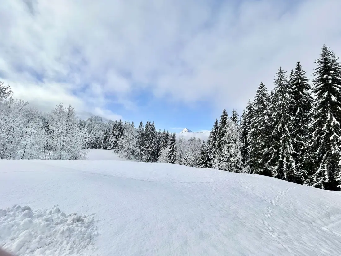 Chalet Varni
