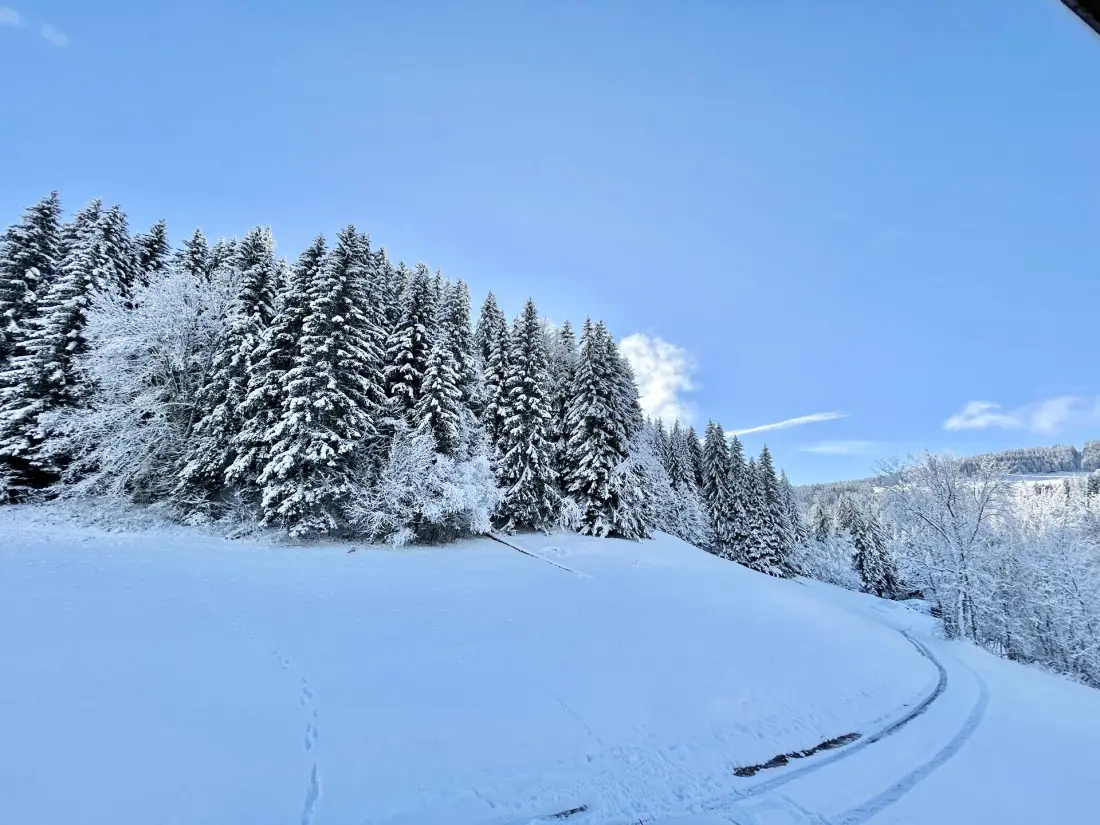 Chalet Varni