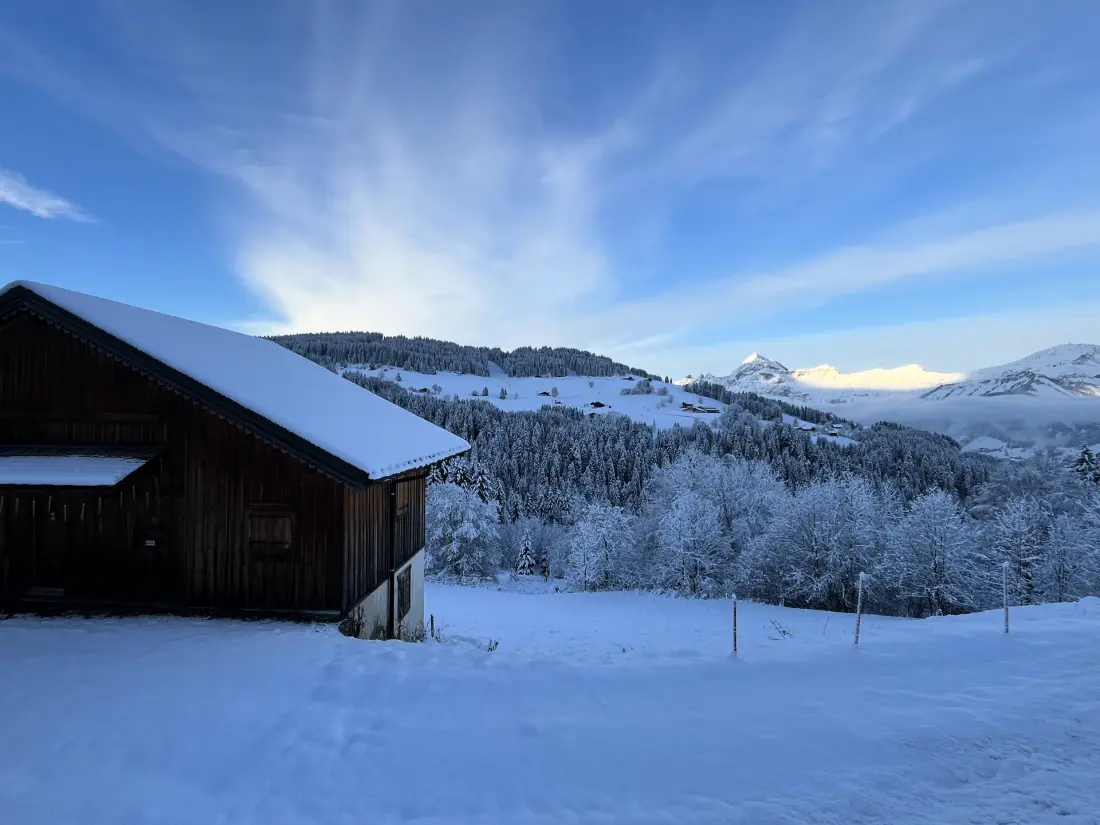 Residence La Ferme Des Frasses