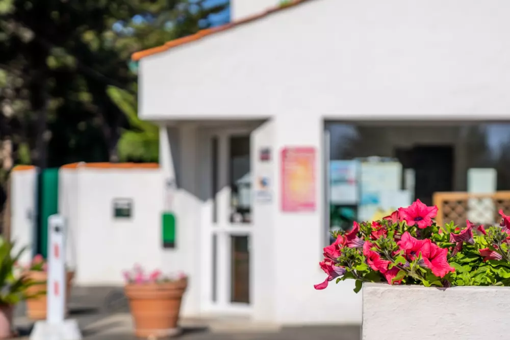 Camping Le Pont d'Yeu 3 Stars★★★