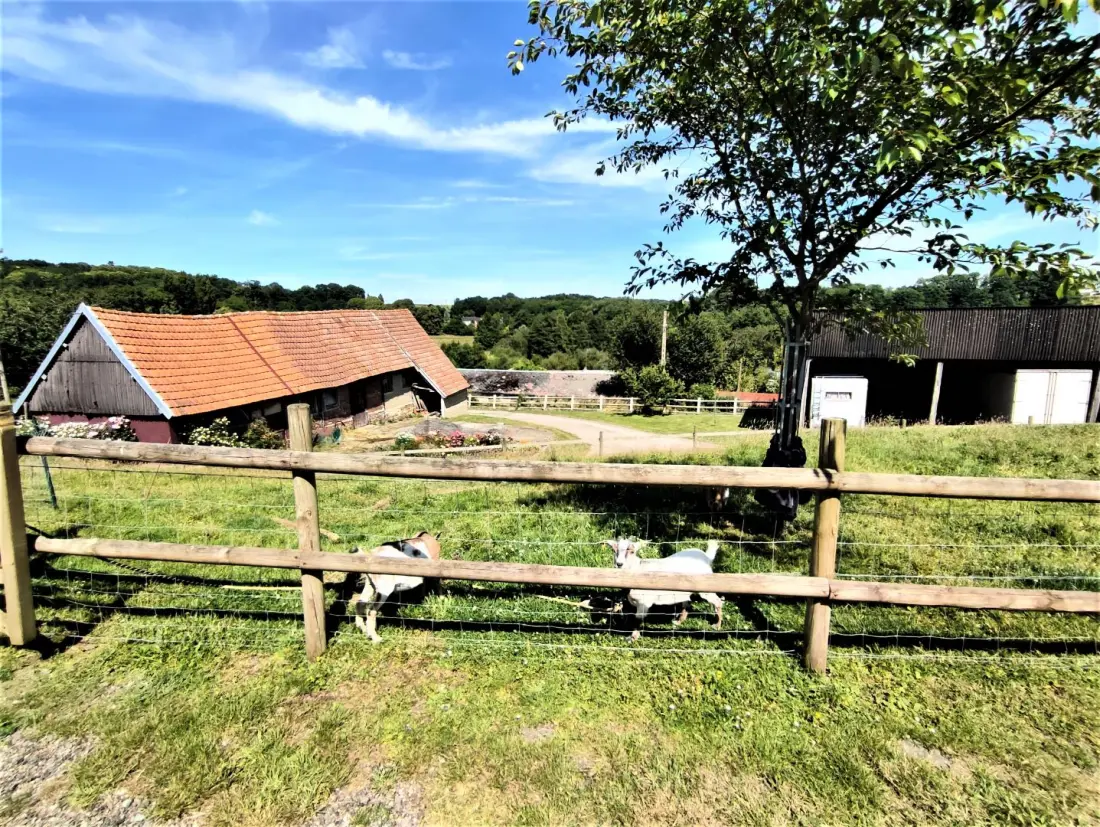 Gîte de France Gîtes de france® - la p'tite maison de papito et mamito 3 fül