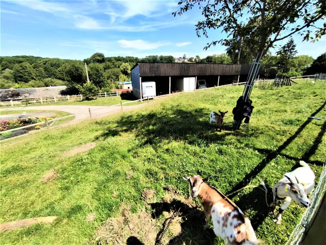 Gîte de France Gîtes de france® - la p'tite maison de papito et mamito 3 fül