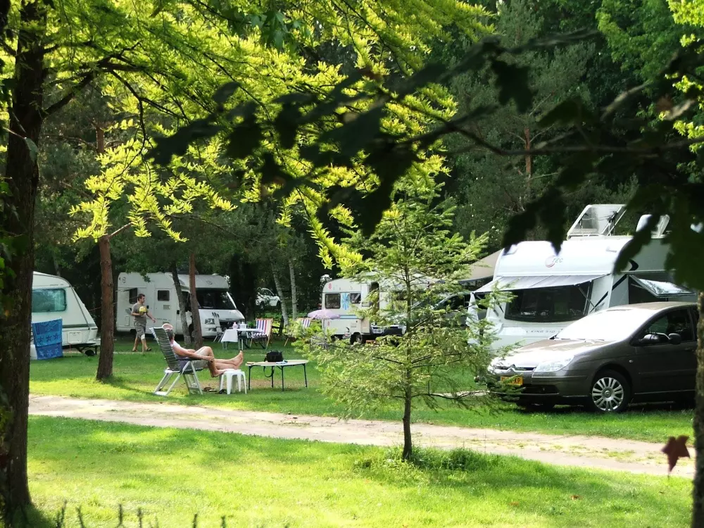 Campsite L 'Etang de Sologne - Nie.