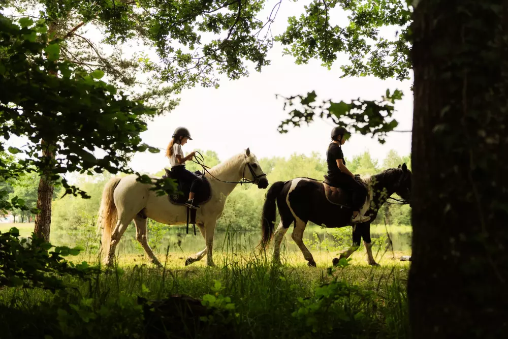 Campsite L 'Etang de Sologne - Nie.