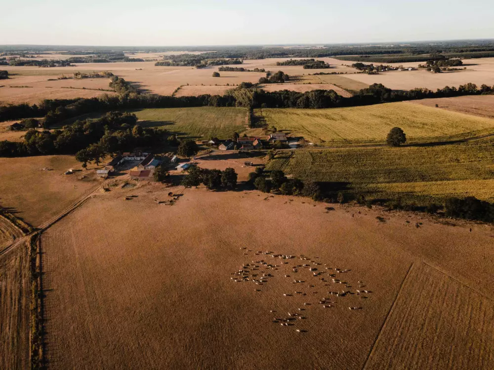 Croq 'Epines - Parcel Tiny House