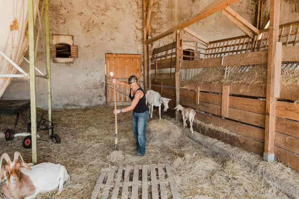 Croq 'Epines - Parcel Tiny House