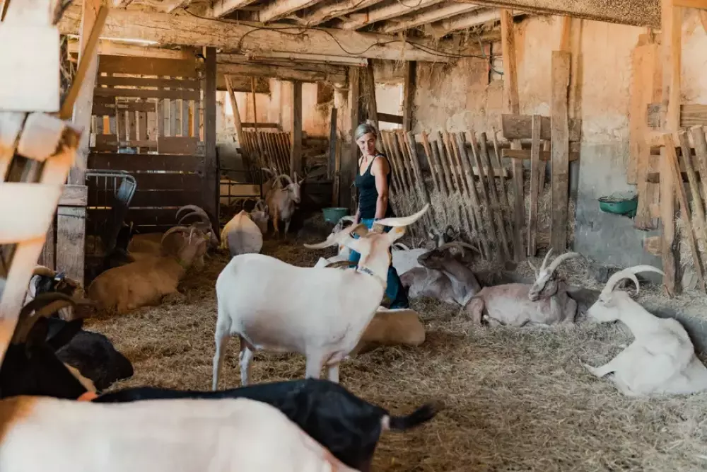 Croq 'Epines - Parcel Tiny House