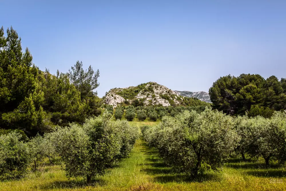 Campingplatz Verbela Dorf 4 Sterne★★★★