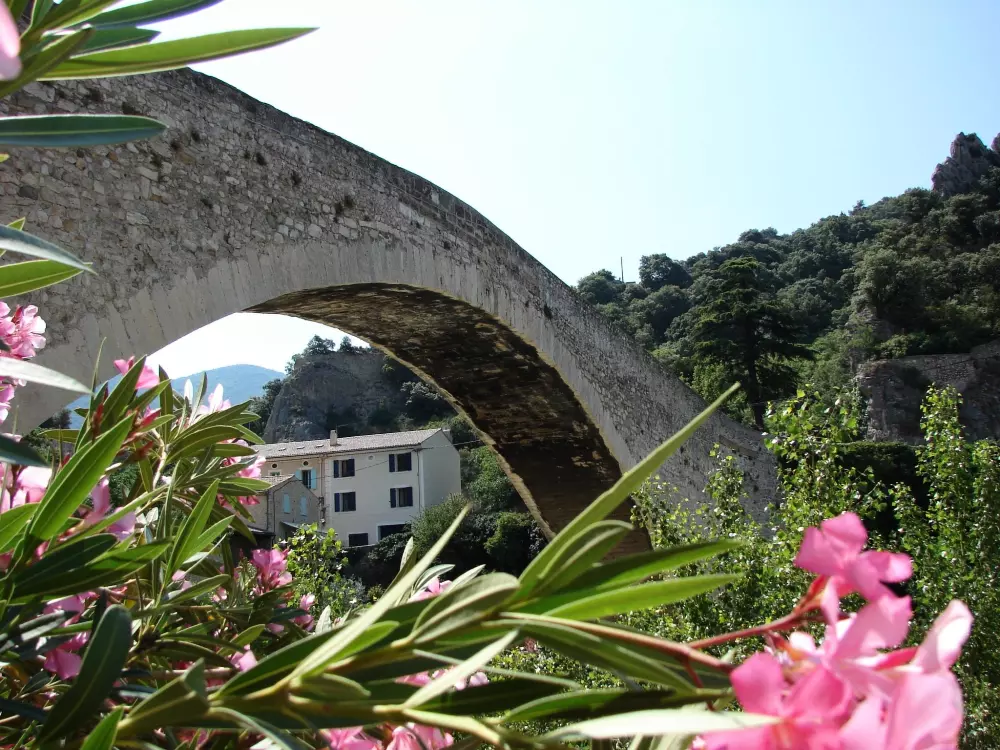 Camping Les Terrasses Provençales 5 Sterren★★★★★