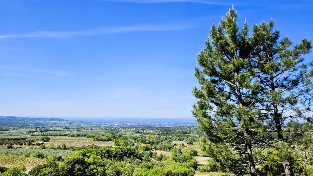Camping Les Terrasses Provençales 5 Sterren★★★★★
