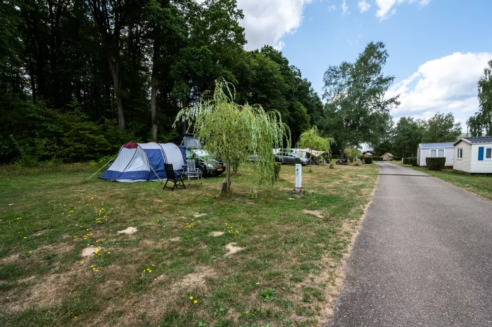 Camping Saisonova Les Vogess du Nord 2 Sterne★★