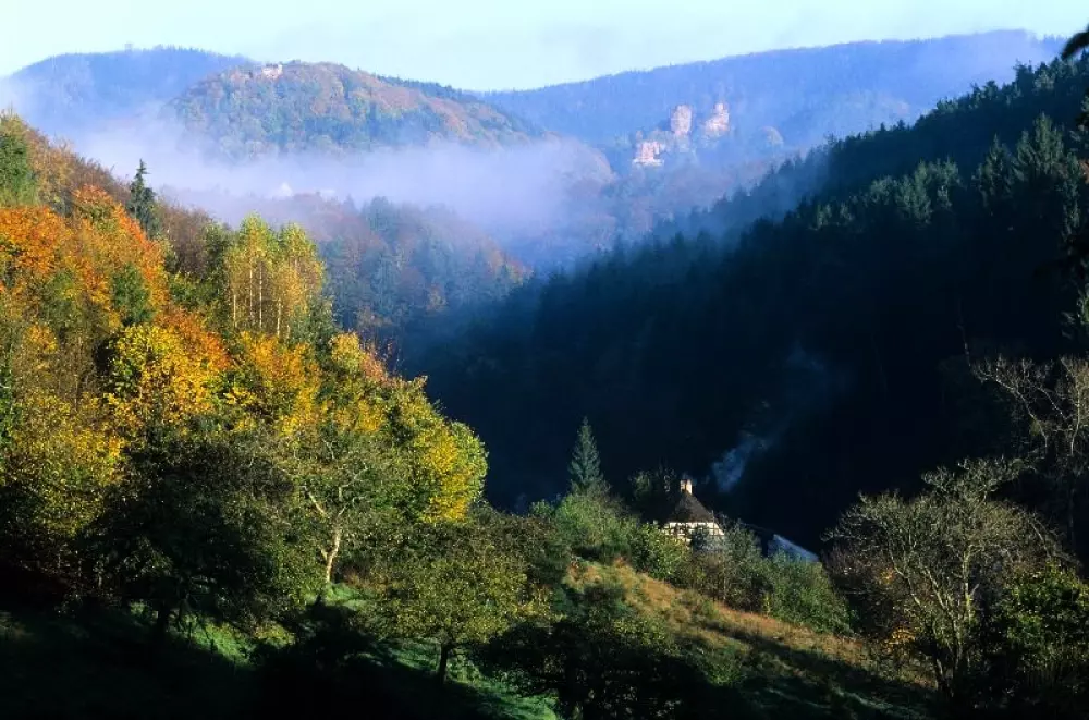 Camping Saisonova Les Vogess du Nord 2 Sterne★★