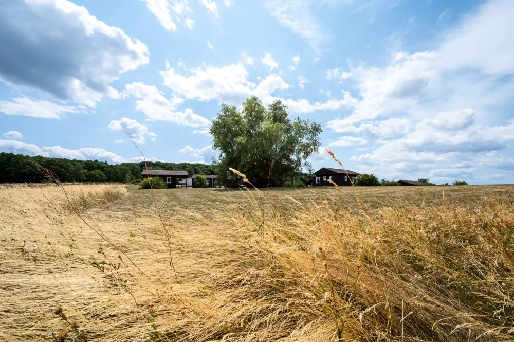 Camping Saisonova Les Vogess du Nord 2 Sterne★★