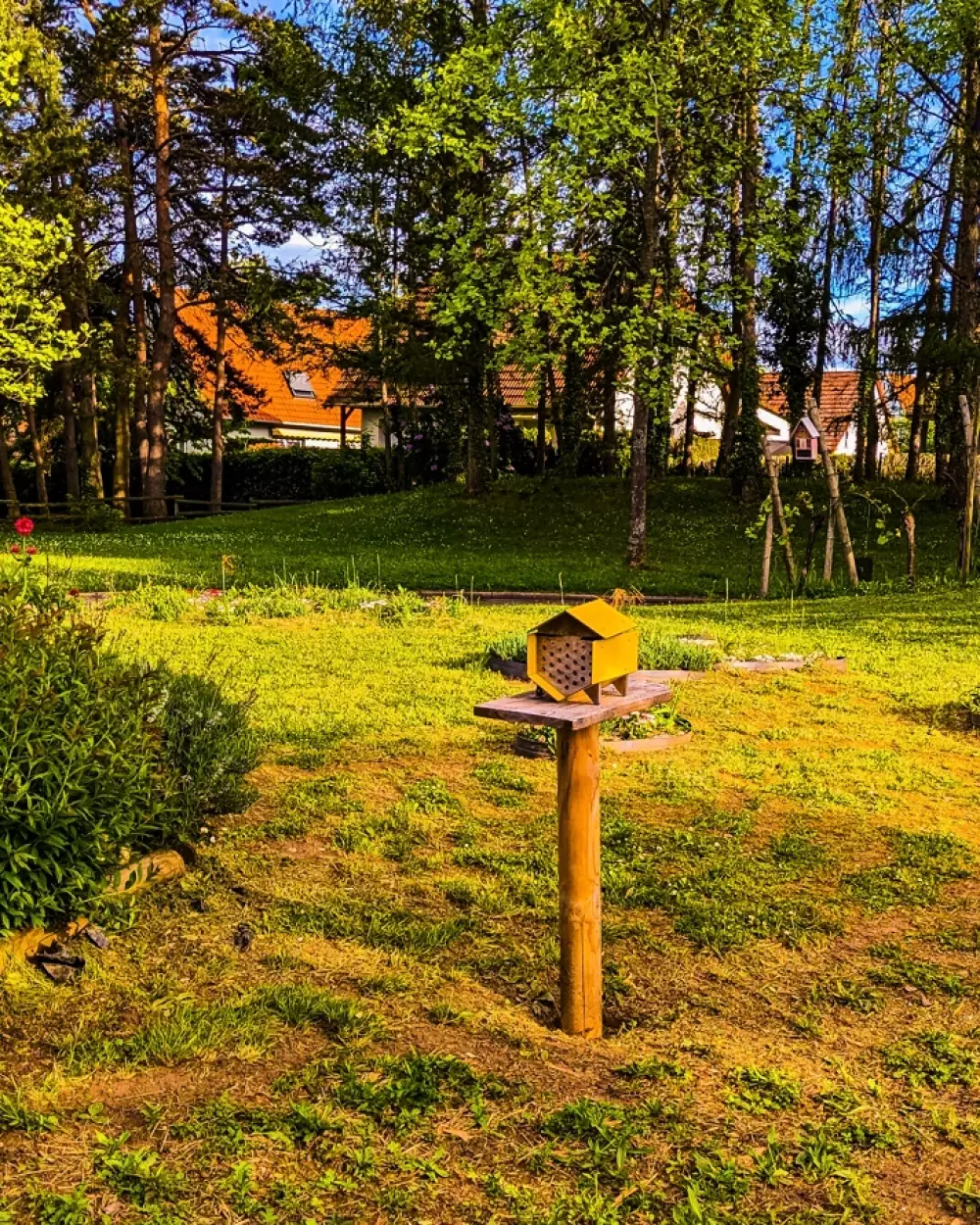 VVF Obernai 3 Stars★★★