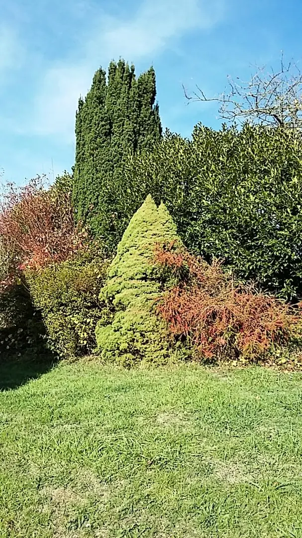 Gîte de France Eine Pause auf dem Land 2 Ähren