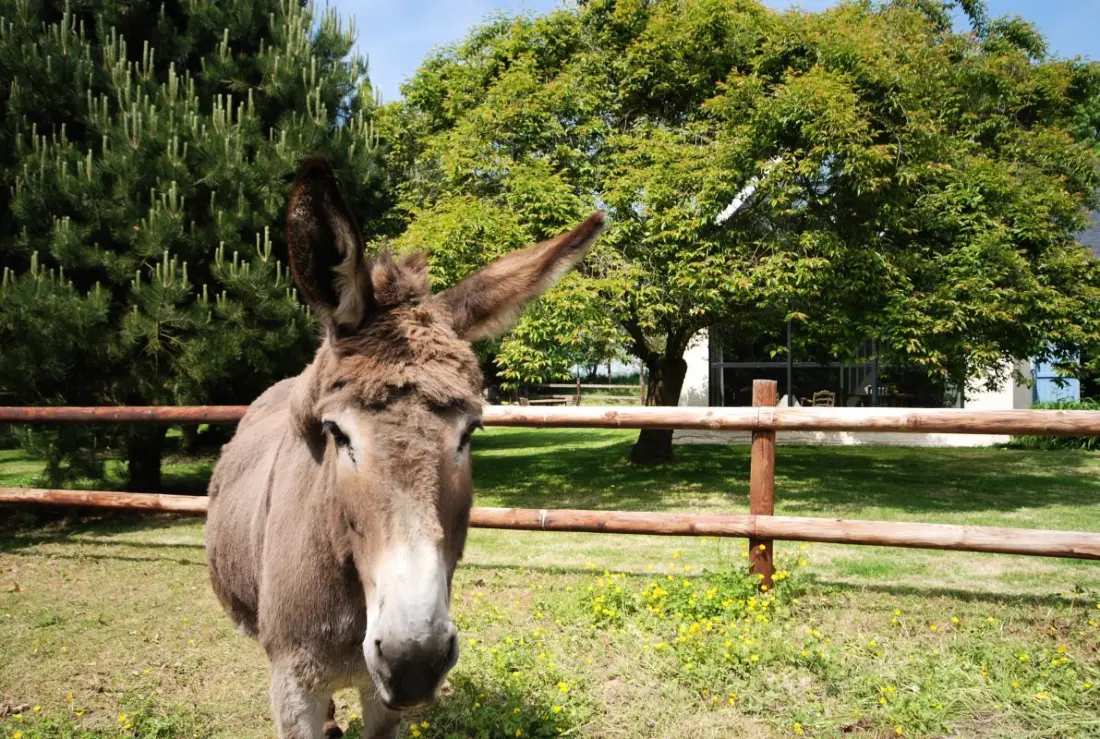 Gîte de France Gîtes de france® - a páholy 3 fül