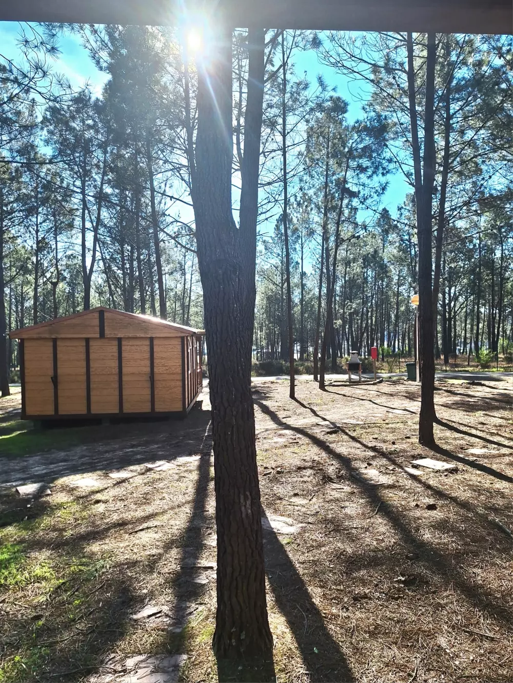 Wecamp Sao Miguel 3 Sterren★★★