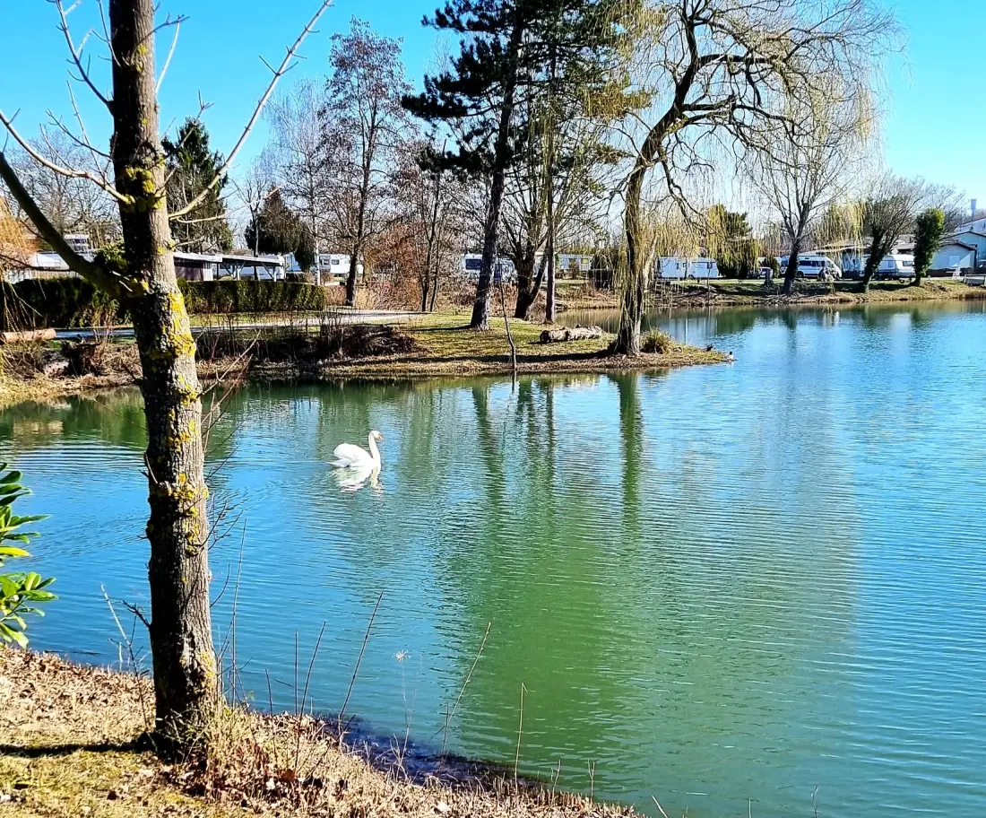 Camping am Hirschfeldsee Sperrfechter Freizeitpark 3 Csillagok★★★