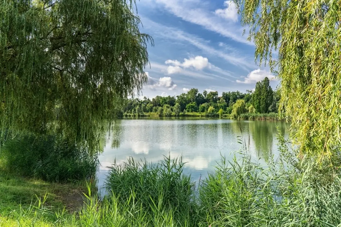 Camping am Hirschfeldsee - Sperrfechter Freizeitpark 3 Gwiazdy★★★