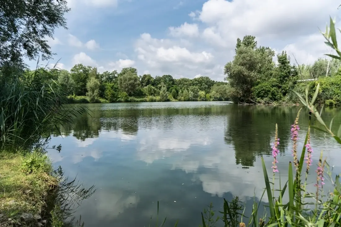 Camping am Hirschfeldsee - Sperrfechter Freizeitpark 3 Gwiazdy★★★