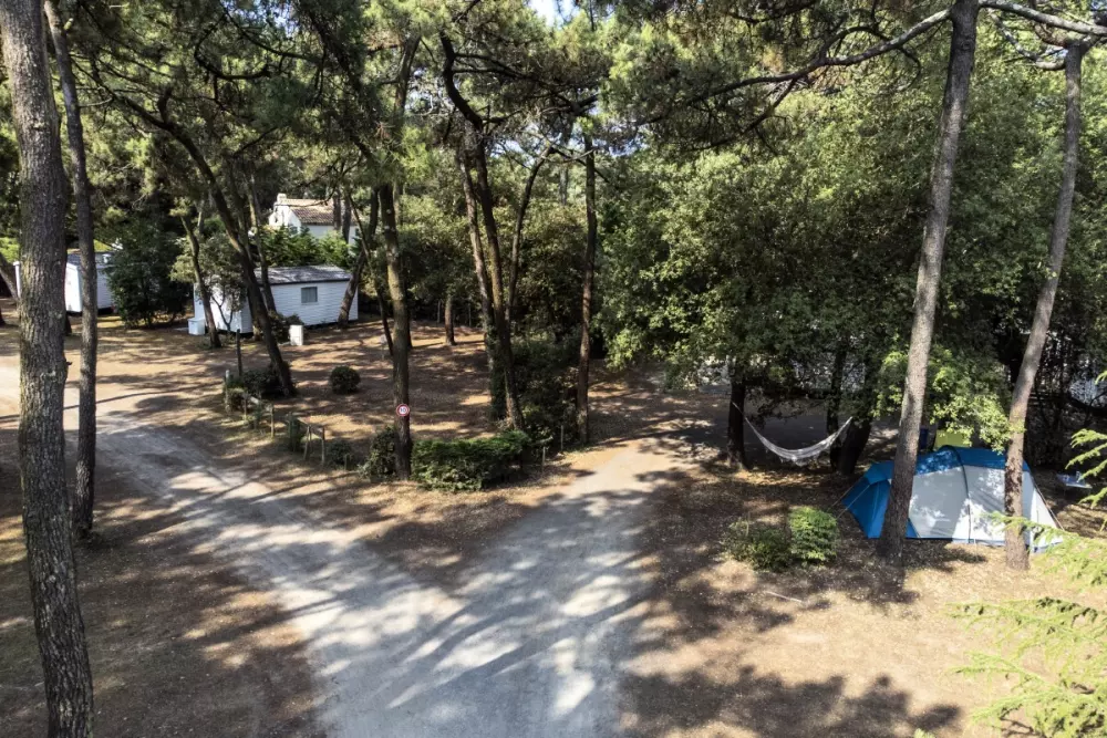 Kemping Maeva Respire Le Bois de La Gachère 4 Gwiazdy★★★★