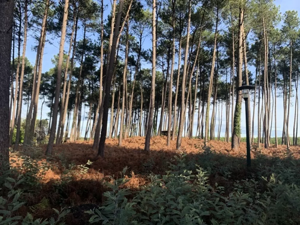 Camping L'Orée des Landes 3 Estrellas★★★