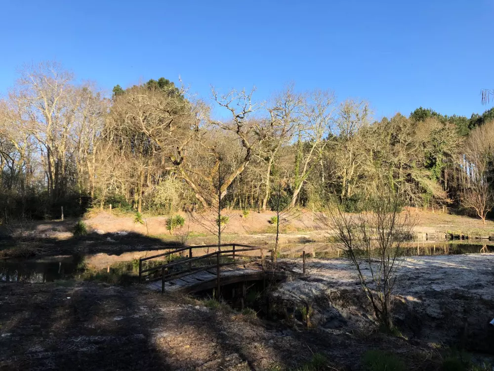 Camping L'Orée des Landes 3 Estrellas★★★