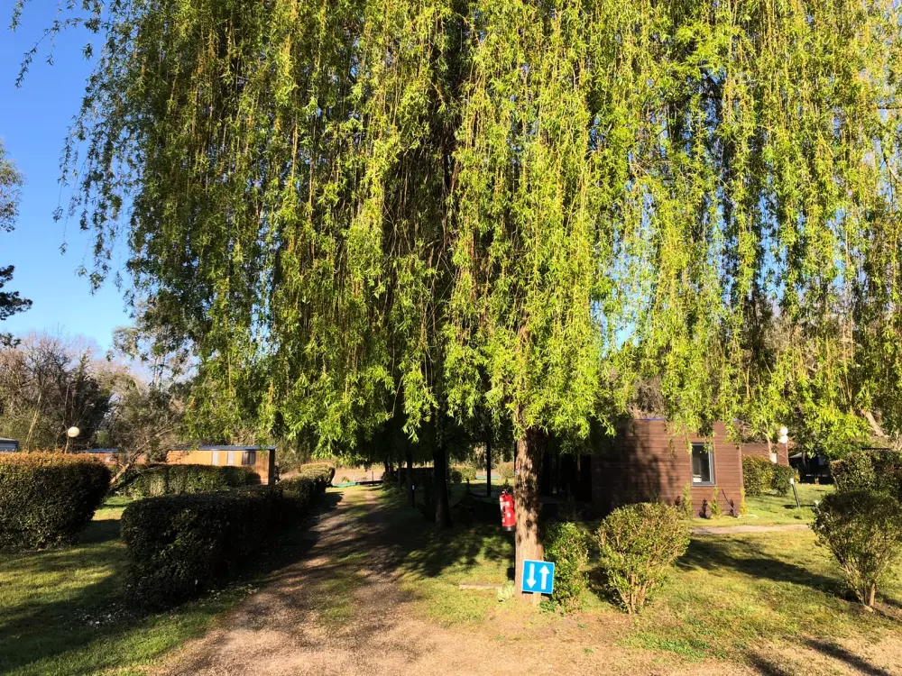 Camping L'Orée des Landes 3 Estrellas★★★