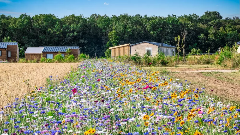 Camping Ferme Pédagogique de Prunay4 Sterren★★★★