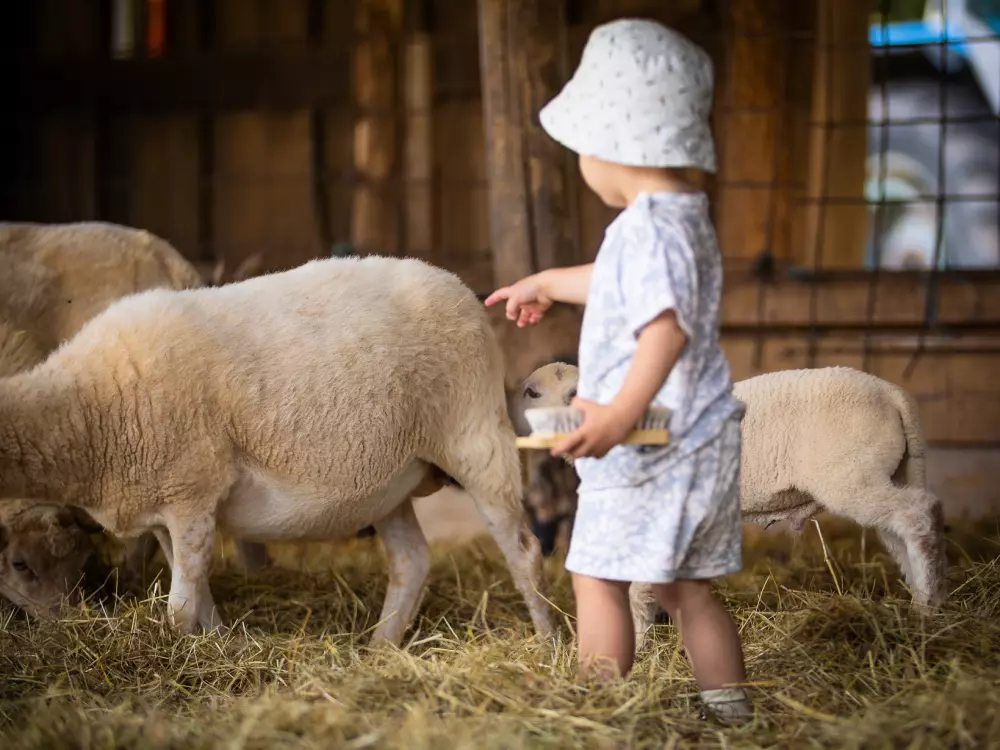 Camping Ferme Pédagogique de Prunay4 Sterren★★★★