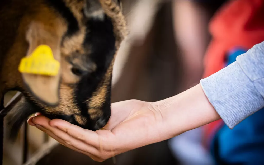 Camping Ferme Pédagogique de Prunay4 Sterren★★★★