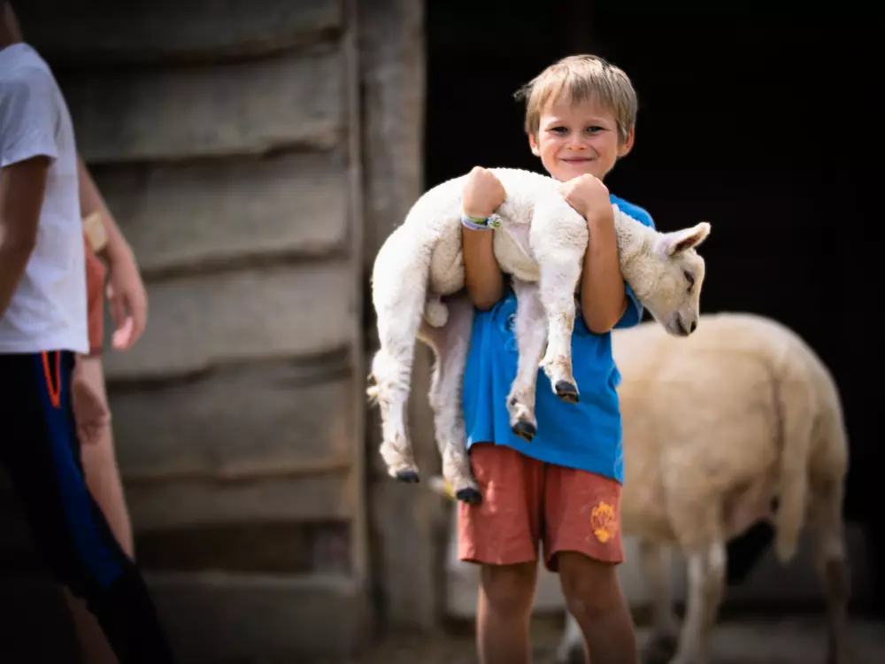 Camping Ferme Pédagogique de Prunay4 Sterren★★★★