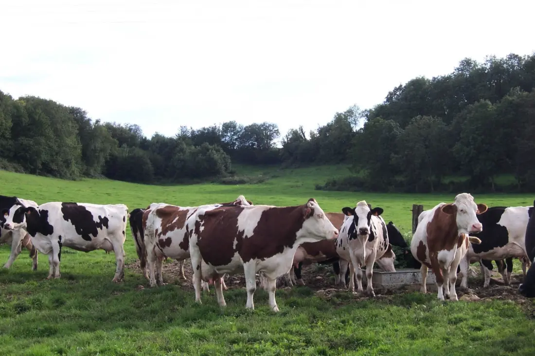 Gîte de France Das grüne Tal 3 Ohren