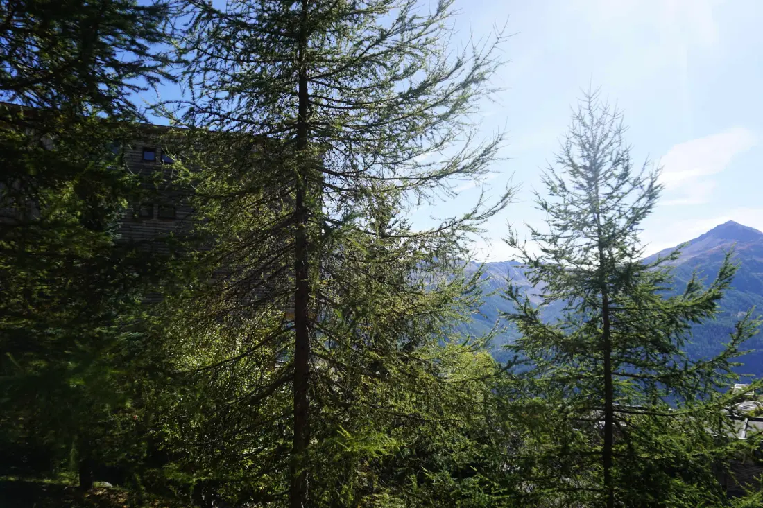 Residence Rond Point I