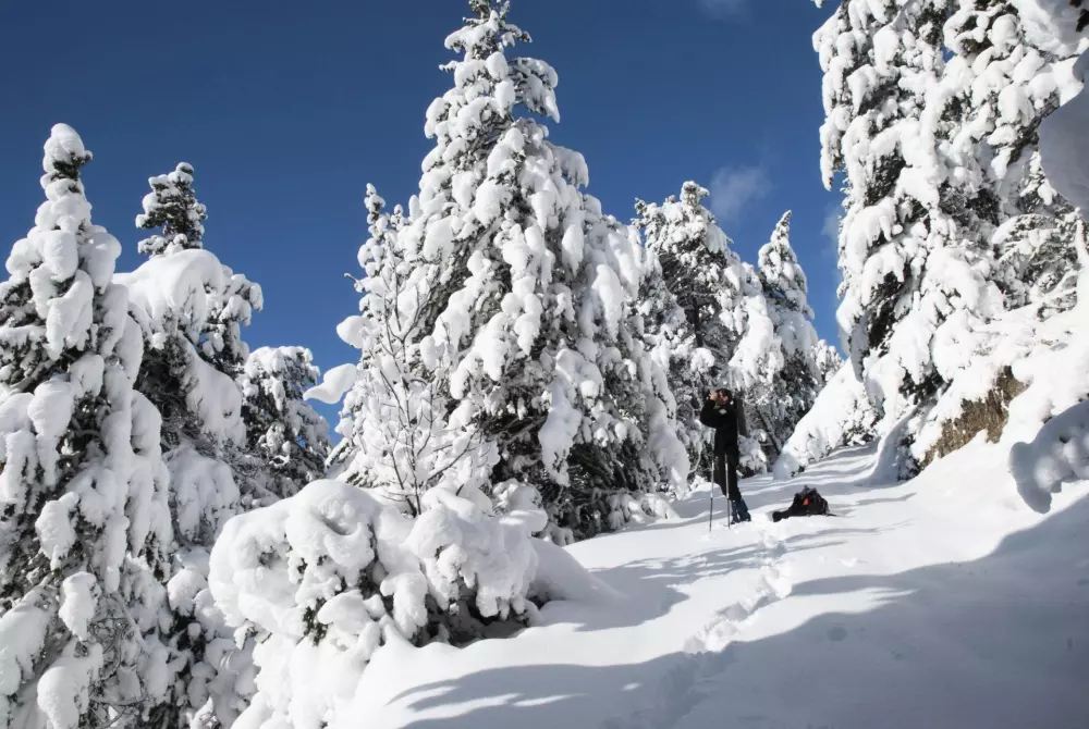 Appartamenti a Orelle