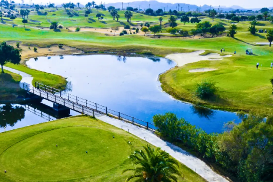 Magnificent Villa With Private Pool - Vistabella Golf