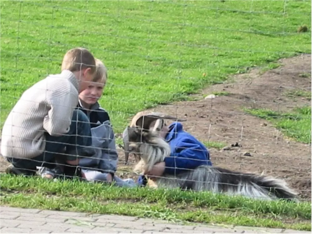 Vestbirk Camping 3 étoiles★★★