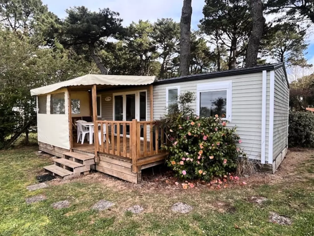 Campsite Ushuaia Wioska Estuary 3 Gwiazdy★★★ 3 Gwiazdy★★★ 3 Gwiazdy★★★