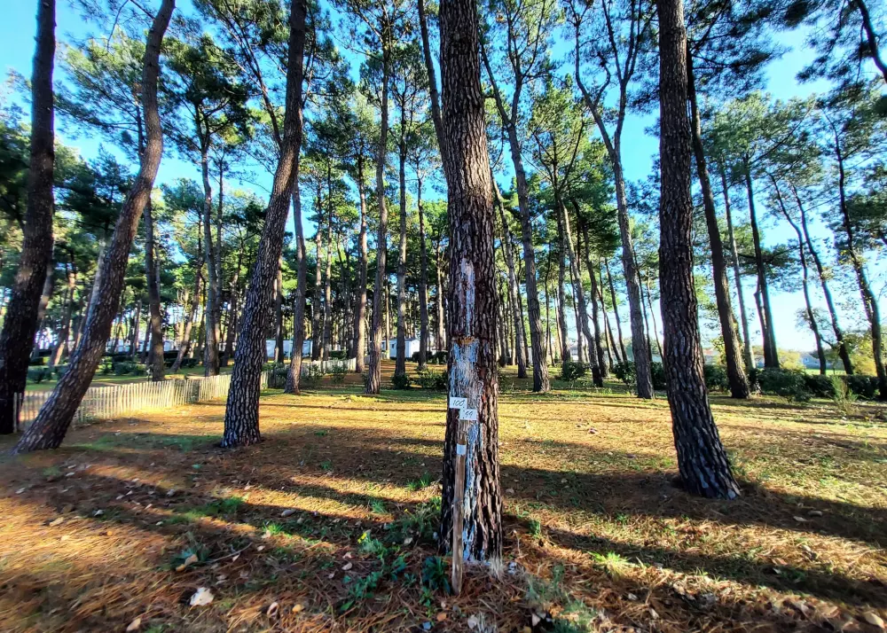 Campsite Ushuaia Wioska Estuary 3 Gwiazdy★★★ 3 Gwiazdy★★★ 3 Gwiazdy★★★