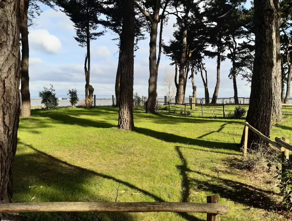 Campsite Ushuaia Wioska Estuary 3 Gwiazdy★★★ 3 Gwiazdy★★★ 3 Gwiazdy★★★