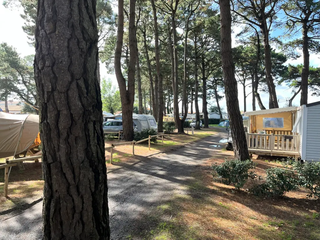 Campsite Ushuaia Villages az Estuary 3 Csillagok★★★
