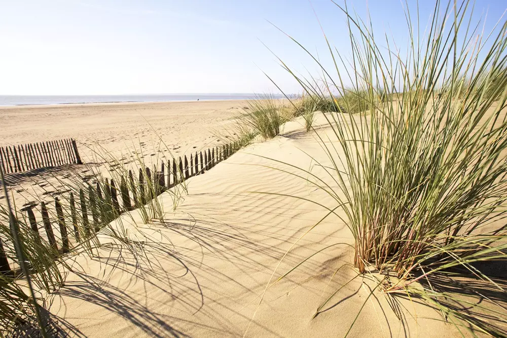 Campsite Ushuaia Wioska Estuary 3 Gwiazdy★★★ 3 Gwiazdy★★★ 3 Gwiazdy★★★