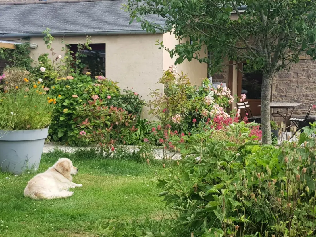 Gîte de France Das Gite-Riad von Kerity 3 Ähren