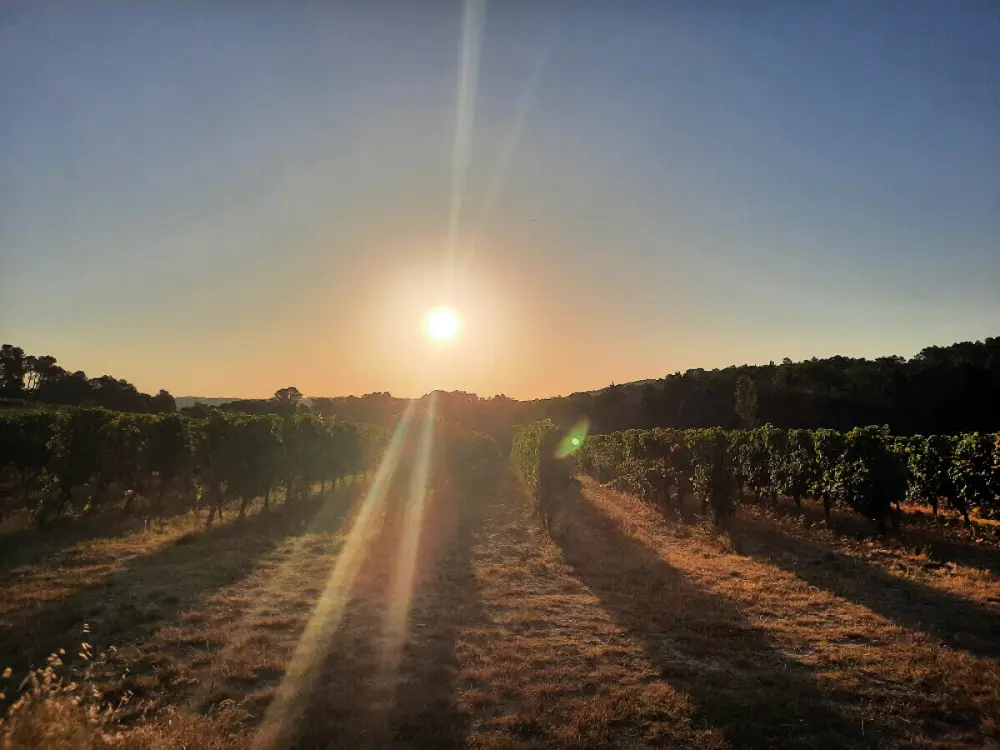 Domaine La Sauzette