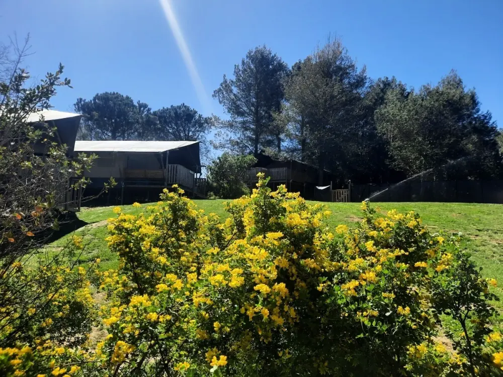 Domaine La Sauzette