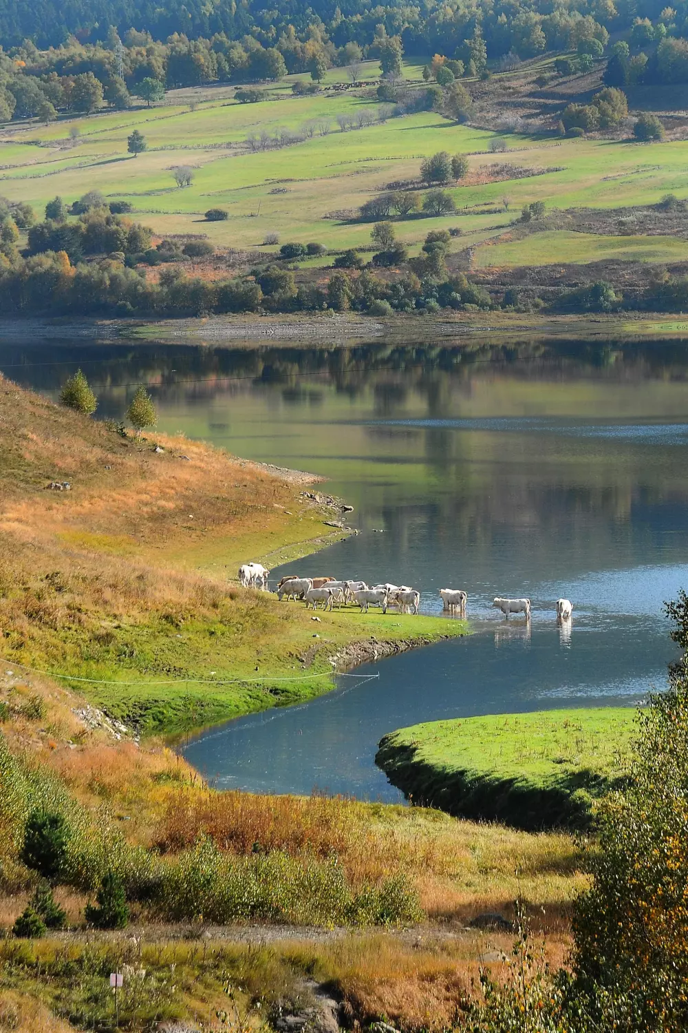 Camping Le Haras 4 Sterren★★★★