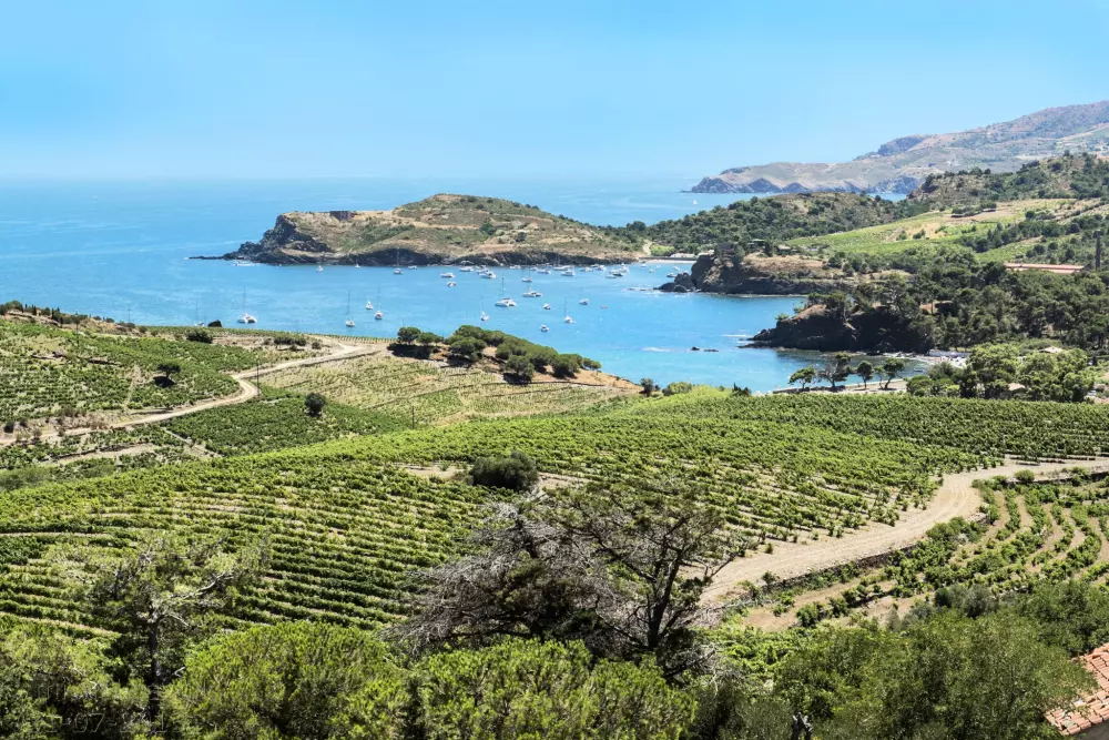 Camping Le Haras 4 Sterren★★★★