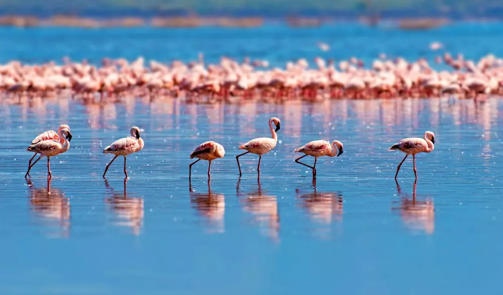 Campingplatz Le Palavas